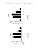 Histidyl-tRNA synthetases for treating autoimmune and inflammatory     diseases diagram and image