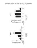 Histidyl-tRNA synthetases for treating autoimmune and inflammatory     diseases diagram and image