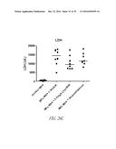 Histidyl-tRNA synthetases for treating autoimmune and inflammatory     diseases diagram and image