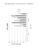 Histidyl-tRNA synthetases for treating autoimmune and inflammatory     diseases diagram and image