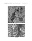 NOVEL BIOCATALYST COMPOSITIONS AND PROCESSES FOR USE diagram and image