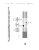 PORTABLE DEVICE FOR NUCLEIC ACID-BASED AUTHENTICATION OF LIQUID SAMPLES diagram and image