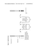 PORTABLE DEVICE FOR NUCLEIC ACID-BASED AUTHENTICATION OF LIQUID SAMPLES diagram and image