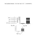 ASSAY TO MEASURE THE LEVELS OF CIRCULATING DEMETHYLATED DNA diagram and image