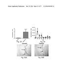 ASSAY TO MEASURE THE LEVELS OF CIRCULATING DEMETHYLATED DNA diagram and image