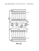 MANIPULATION OF CELL NUCLEI IN A MICRO-FLUIDIC DEVICE diagram and image