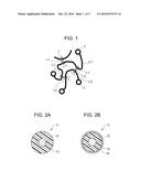 ELECTROPHOTOGRAPHIC MEMBER, PROCESS CARTRIDGE, AND ELECTROPHOTOGRAPHIC     APPARATUS diagram and image