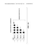 HIGH-THROUGHPUT MOUSE MODEL FOR OPTIMIZING ANTIBODY AFFINITIES diagram and image