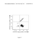 NON-HUMAN ANIMALS HAVING A HUMANIZED SIGNAL-REGULATORY PROTEIN GENE diagram and image