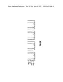 Variable Compression Surgical Fastener Cartridge diagram and image