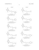 DYE COMPOSITION COMPRISING A CATIONIC PARA-AMINOPHENOL OXIDATION BASE diagram and image