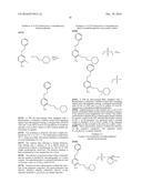 DYE COMPOSITION COMPRISING A CATIONIC PARA-AMINOPHENOL OXIDATION BASE diagram and image