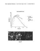 PEPTIDE/PARTICLE DELIVERY SYSTEMS diagram and image