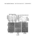 PEPTIDE/PARTICLE DELIVERY SYSTEMS diagram and image