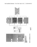 PEPTIDE/PARTICLE DELIVERY SYSTEMS diagram and image