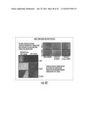 PEPTIDE/PARTICLE DELIVERY SYSTEMS diagram and image