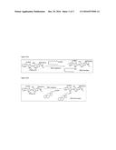 NANOPARTICLE DRUG DELIVERY diagram and image