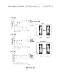 METHODS OF TREATMENT OF HEPATOCELLULAR CARCINOMA diagram and image