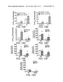 SLOW-RELEASE FORMULATIONS OF 5-HYDROXYTRYPTOPHAN AS AN ADJUNCT TO     PRO-SEROTONERGIC THERAPIES diagram and image