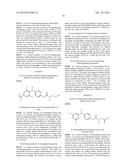 POTASSIUM ION CHANNEL MODULATORS & USES THEREOF diagram and image