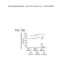 SHP2 INHIBITORS AND METHODS OF TREATING AUTOIMMUNE AND/OR     GLOMERULONEPHRITIS-ASSOCIATED DISEASES USING SHP2 INHIBITORS diagram and image