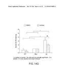 SHP2 INHIBITORS AND METHODS OF TREATING AUTOIMMUNE AND/OR     GLOMERULONEPHRITIS-ASSOCIATED DISEASES USING SHP2 INHIBITORS diagram and image