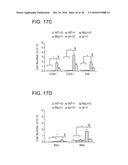 SHP2 INHIBITORS AND METHODS OF TREATING AUTOIMMUNE AND/OR     GLOMERULONEPHRITIS-ASSOCIATED DISEASES USING SHP2 INHIBITORS diagram and image