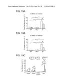 SHP2 INHIBITORS AND METHODS OF TREATING AUTOIMMUNE AND/OR     GLOMERULONEPHRITIS-ASSOCIATED DISEASES USING SHP2 INHIBITORS diagram and image