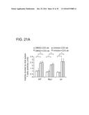 SHP2 INHIBITORS AND METHODS OF TREATING AUTOIMMUNE AND/OR     GLOMERULONEPHRITIS-ASSOCIATED DISEASES USING SHP2 INHIBITORS diagram and image