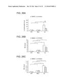 SHP2 INHIBITORS AND METHODS OF TREATING AUTOIMMUNE AND/OR     GLOMERULONEPHRITIS-ASSOCIATED DISEASES USING SHP2 INHIBITORS diagram and image