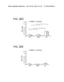 SHP2 INHIBITORS AND METHODS OF TREATING AUTOIMMUNE AND/OR     GLOMERULONEPHRITIS-ASSOCIATED DISEASES USING SHP2 INHIBITORS diagram and image