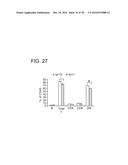 SHP2 INHIBITORS AND METHODS OF TREATING AUTOIMMUNE AND/OR     GLOMERULONEPHRITIS-ASSOCIATED DISEASES USING SHP2 INHIBITORS diagram and image