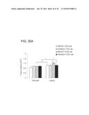 SHP2 INHIBITORS AND METHODS OF TREATING AUTOIMMUNE AND/OR     GLOMERULONEPHRITIS-ASSOCIATED DISEASES USING SHP2 INHIBITORS diagram and image