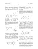 ANTIBIOTIC COMPOUNDS THAT INHIBIT BACTERIAL PROTEIN SYNTHESIS diagram and image