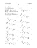 ANTIBIOTIC COMPOUNDS THAT INHIBIT BACTERIAL PROTEIN SYNTHESIS diagram and image