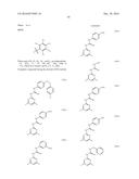 ANTIBIOTIC COMPOUNDS THAT INHIBIT BACTERIAL PROTEIN SYNTHESIS diagram and image