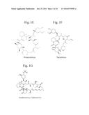 MACROLIDE PARTICULATES, METHODS FOR PREPARATION, AND MEDICAL DEVICES     ASSOCIATED THEREWITH diagram and image