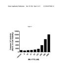 COMBINATION OF CHECKPOINT KINASE I INHIBITORS AND WEE I KINASE INHIBITORS diagram and image