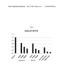 COMBINATION OF CHECKPOINT KINASE I INHIBITORS AND WEE I KINASE INHIBITORS diagram and image