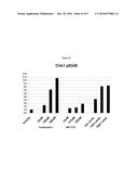 COMBINATION OF CHECKPOINT KINASE I INHIBITORS AND WEE I KINASE INHIBITORS diagram and image