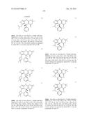 USES OF PARALOG-SELECTIVE INHIBITORS OF GSK3 KINASES diagram and image