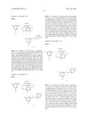 PROTEIN KINASE INHIBITORS diagram and image