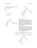 PROTEIN KINASE INHIBITORS diagram and image