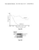 USE OF NOVEL AUTOPHAGY INHIBITORS TO TREAT AUTOPHAGY RELATED HUMAN     DISEASES diagram and image