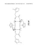 CHROMIUM HISTIDINATE AND CHROMIUM PICOLINATE COMPLEXES diagram and image