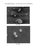 Continuous Methods for Treating Liquids and Manufacturing Certain     Constituents (e.g., Nanoparticles) in Liquids, Apparatuses and     Nanoparticles and Nanoparticle/Liquid Solution(s) Resulting Therefrom diagram and image