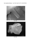 Continuous Methods for Treating Liquids and Manufacturing Certain     Constituents (e.g., Nanoparticles) in Liquids, Apparatuses and     Nanoparticles and Nanoparticle/Liquid Solution(s) Resulting Therefrom diagram and image