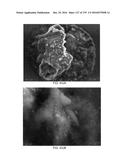 Continuous Methods for Treating Liquids and Manufacturing Certain     Constituents (e.g., Nanoparticles) in Liquids, Apparatuses and     Nanoparticles and Nanoparticle/Liquid Solution(s) Resulting Therefrom diagram and image