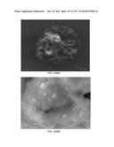 Continuous Methods for Treating Liquids and Manufacturing Certain     Constituents (e.g., Nanoparticles) in Liquids, Apparatuses and     Nanoparticles and Nanoparticle/Liquid Solution(s) Resulting Therefrom diagram and image