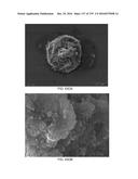 Continuous Methods for Treating Liquids and Manufacturing Certain     Constituents (e.g., Nanoparticles) in Liquids, Apparatuses and     Nanoparticles and Nanoparticle/Liquid Solution(s) Resulting Therefrom diagram and image